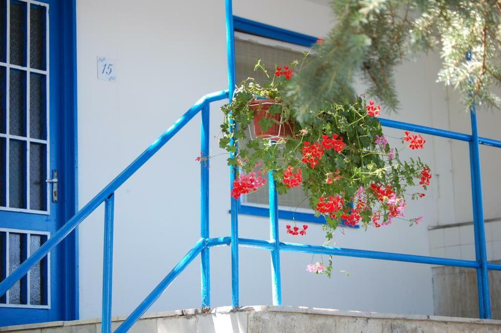 Комплекс Белите Къщи Shtarkelovo Gnezdo Exterior photo
